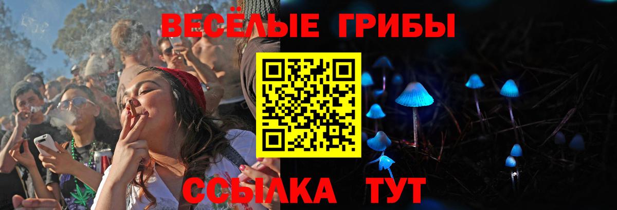 Великий Новгород  Псилоцибиновые грибы GOLDEN TEACHER  Вход с VPN  Галлюциногенные грибы GOLDEN TEACHER 